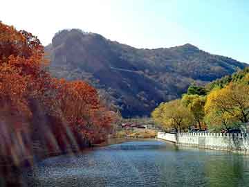 新澳门二四六天天彩，北海道自驾游车祸